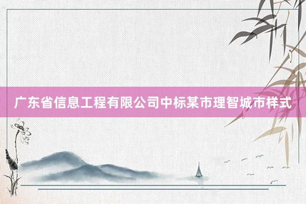 广东省信息工程有限公司中标某市理智城市样式