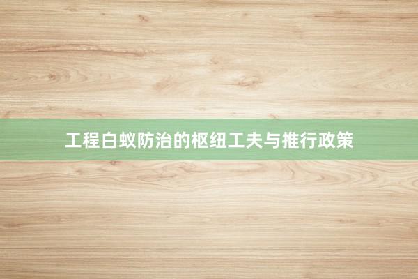 工程白蚁防治的枢纽工夫与推行政策