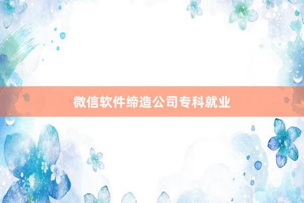 微信软件缔造公司专科就业